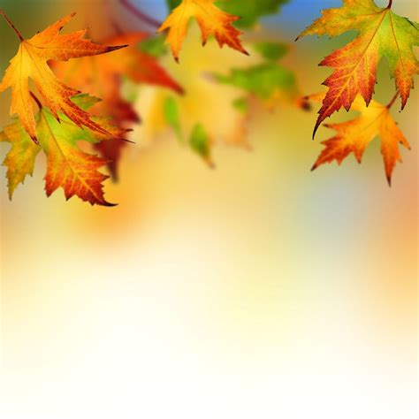 Autumn Leaves Backgrounds For Powerpoint Flower Ppt Templates with Free ...