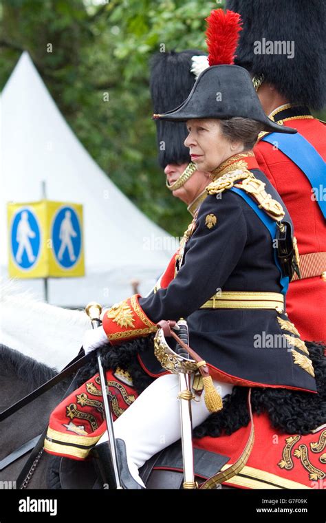 Blues and royals uniform hi-res stock photography and images - Alamy