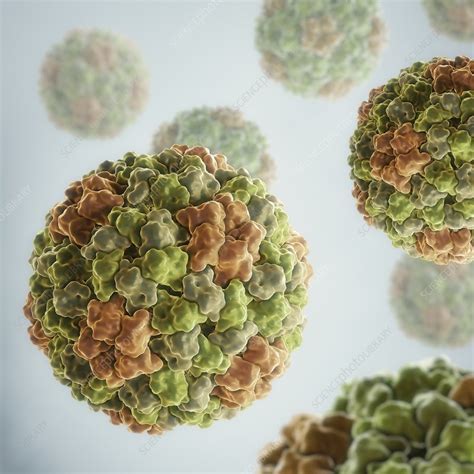 Cucumber Mosaic Virus, artwork - Stock Image - C020/4578 - Science Photo Library