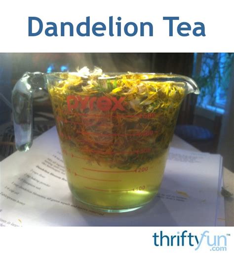 Dandelion Tea Recipe | ThriftyFun