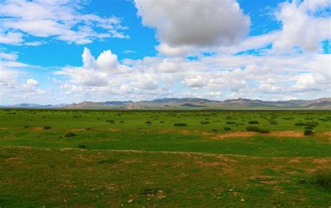 Steppe | Definition, Description, Plants, Animals, Importance, & Facts ...