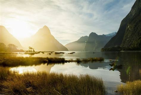 New Zealand's Natural History - Naturetrek