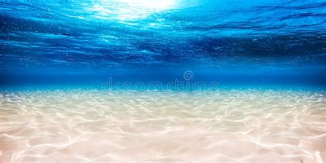 3,083,975 Blue Ocean Stock Photos - Free & Royalty-Free Stock Photos ...