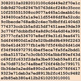 Prime numbers and cryptography