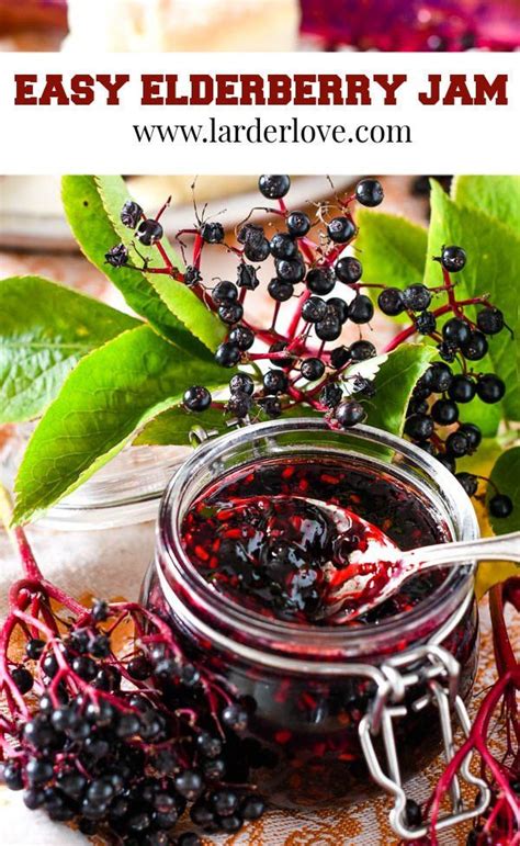 Easy Homemade Elderberry Jam - 3 Ingredients And No Pectin - Larder Love | Recipe | Elderberry ...