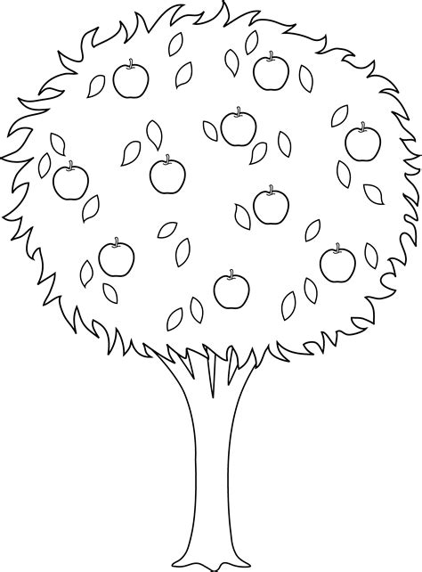 Apple Tree Line Drawing at GetDrawings | Free download