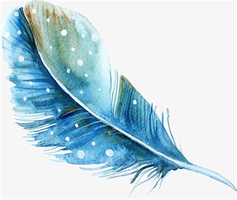 Free Download White Transparent, Blue Hand Painted Watercolor Feather ...