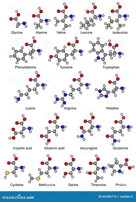 Download amino acid structure for free - imagingniom