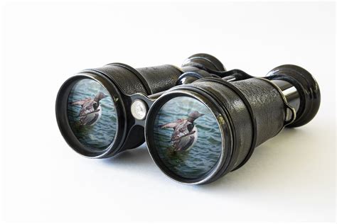 Going #birdwatching? Here are some binocular basics so you don't miss ...