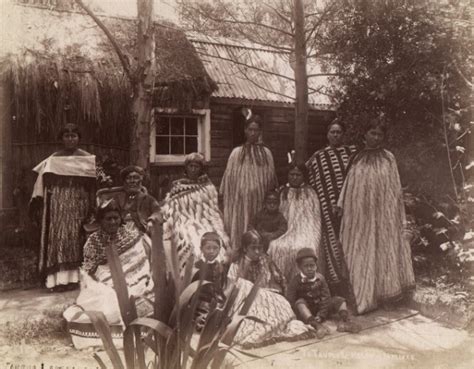 The Maoris in New Zealand History | History Today