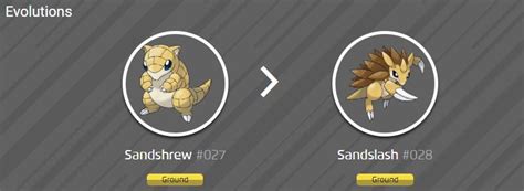 Pokemon Sandshrew Evolution