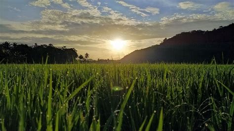 Pagi Hari | Fotografi alam, Estetika alam, Fotografi matahari terbit