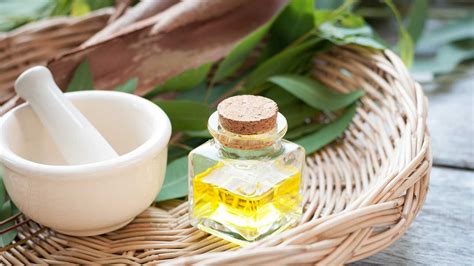 9 Amazing Eucalyptus Oil Benefits You Need to Know