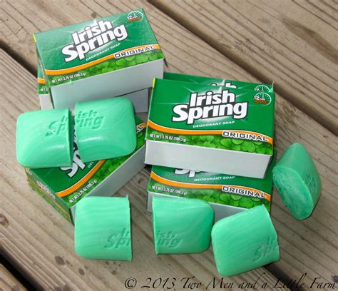 Two Men and a Little Farm: IRISH SPRING SOAP FOR MICE