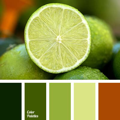 Color Palette #3535 | Color Palette Ideas