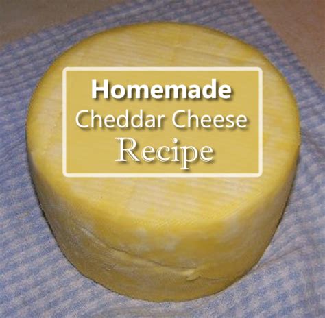 Homemade Cheddar Cheese Recipe