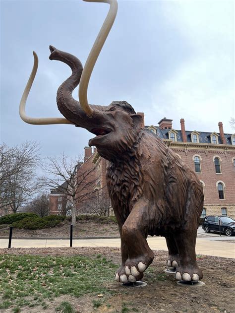 So there's a giant mammoth statue near the quad now - Smile Politely ...