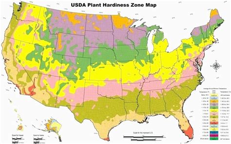 What Planting Zone Is Ohio - Plant Ideas