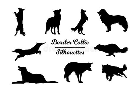 Border Collie Silhouette Stock Illustrations – 452 Border Collie ...