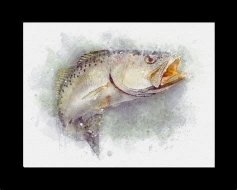 Speckled seatrout watercolor style art print from fish artist Mark Erickson