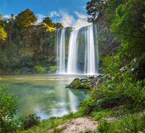 the-whangarei-falls-northland-new-zealand - Unique Holiday Tours