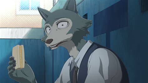 Beastars S1 E5-Legosi 3 by GiuseppeDiRosso on DeviantArt