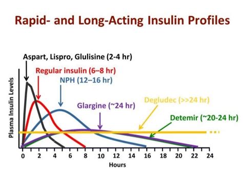 Insulin: what is new