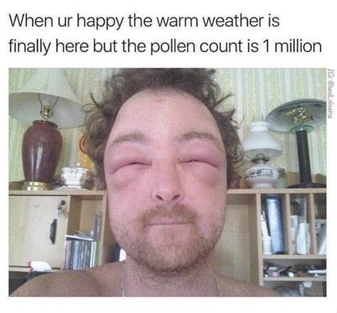 The best Allergies memes :) Memedroid