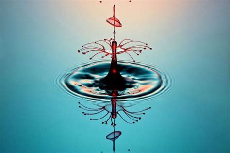 Liquid Drop Art by Corrie White - Barnorama