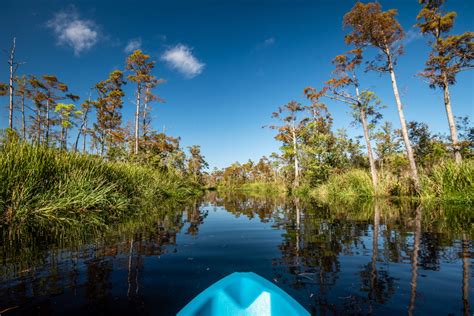 How to Kayak in Alligator River National Wildlife Refuge - abbyventure.com