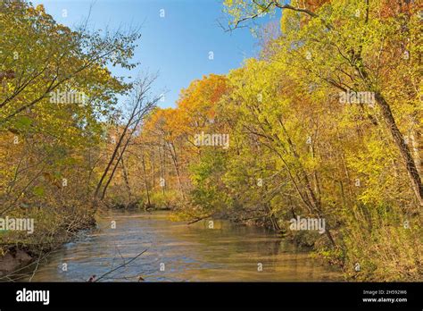 Autumn Colors Along the Cache River in Illinois Stock Photo - Alamy