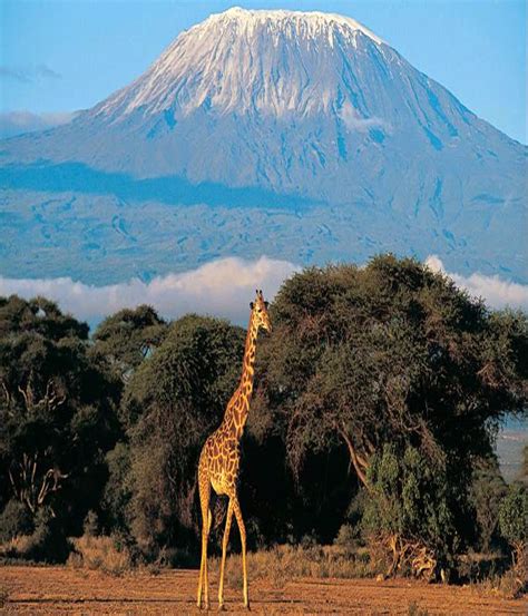 Mount Kilimanjaro - Travel Pedia