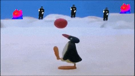 Pingu Rekt GIFs - Find & Share on GIPHY