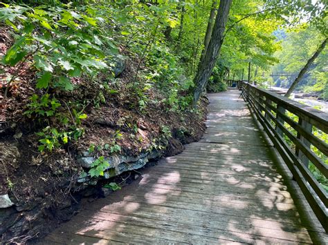 Savage River Bridge Loop - Garrett Trails