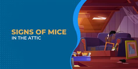 How to Remove Mice From Your Attic: A Comprehensive Guide