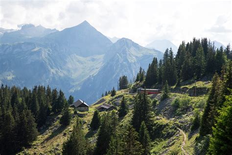 THE BEST HIKES IN GRINDELWALD, SWITZERLAND - Zanna Van Dijk