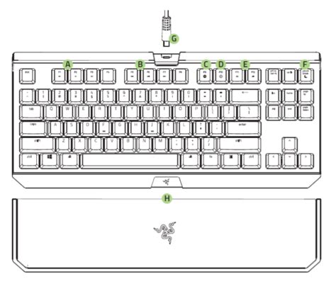 Razer BlackWidow TE Chroma v2 Mechanical Gaming Keyboard ...