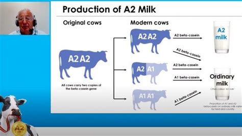 Latest Facts About A2 Cow's Milk, A2 Beta-casein Works Like Breast Milk ...