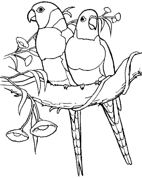 Tropical Birds Coloring Pages - Coloring Home