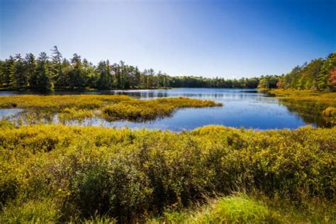 DIY Guide to Fly Fishing the Indian River in Michigan | DIY Fly Fishing