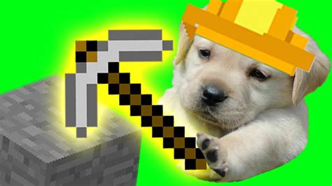 MINECRAFT DOG - YouTube