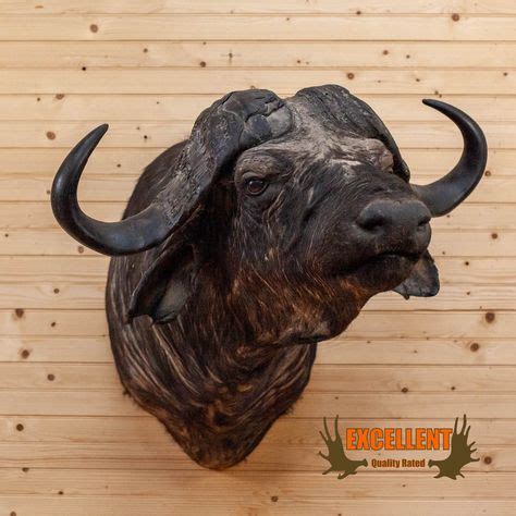 75 African Hunting Trophies at Safariworks Taxidermy Sales ideas in ...