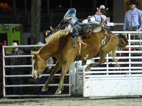 Homestead Rodeo: Jan. 26-29, 2024, where pro cowboys compete