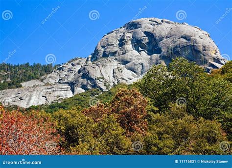 Moro Rock stock image. Image of peak, dramatic, green - 11716831