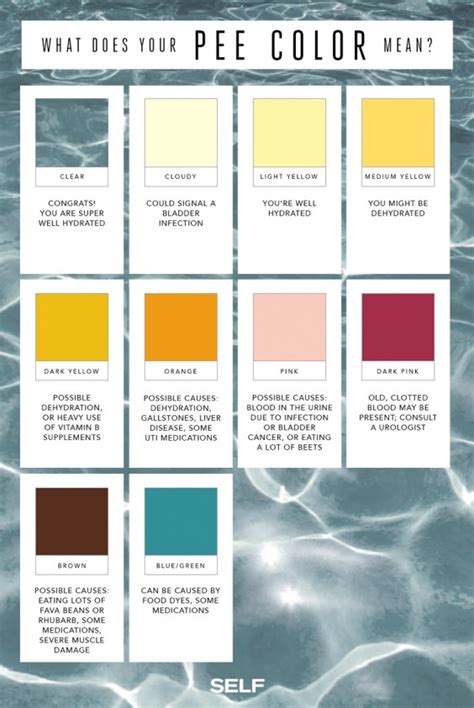 What the Color of Your Pee Means | Greatist