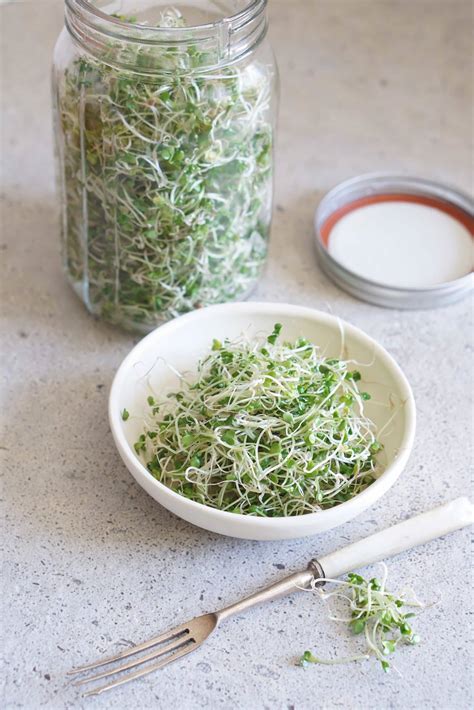 How To Grow Broccoli Sprouts, And Why You Should - Healing Family Eats