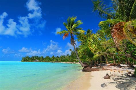 These Are the 15 Of the Best Beaches In French Polynesia