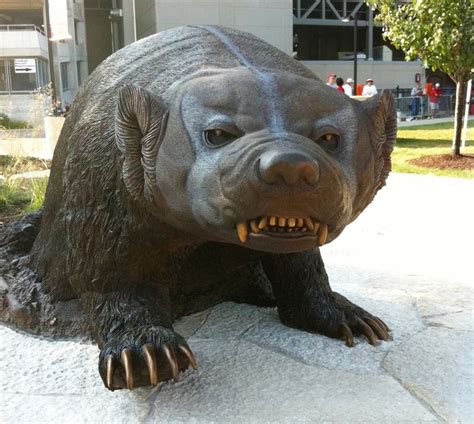 Badger statue watch 2019: Giant bronze badger to be installed across from Camp Randall : r ...