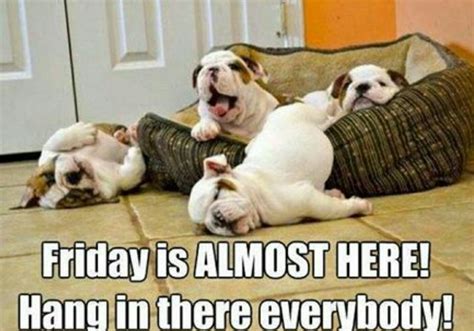 Happy Friday Eve Meme Funny Funny Png | Images and Photos finder