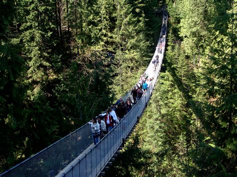 Photography in My Life: Capilano Suspension Bridge